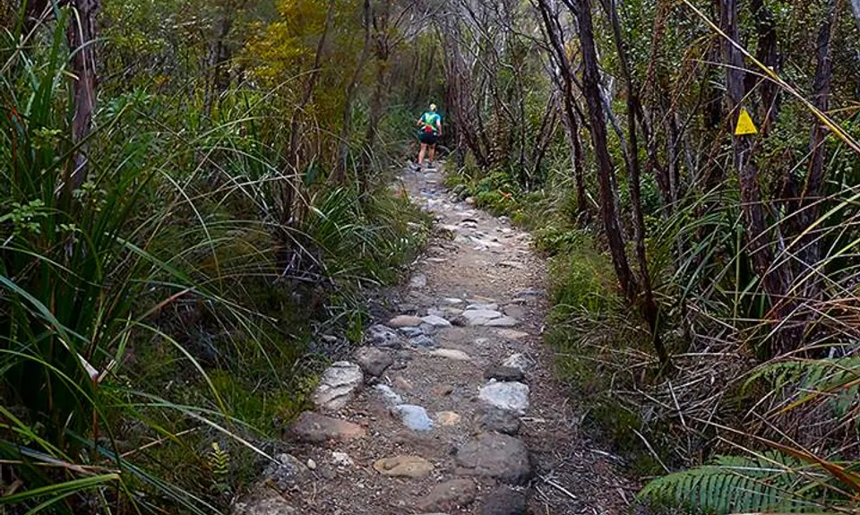 Pinnacles & Billy Goat, Waikato