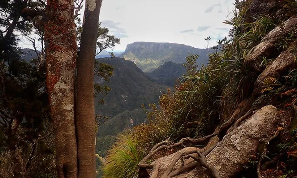 Pinnacles & Billy Goat, Waikato