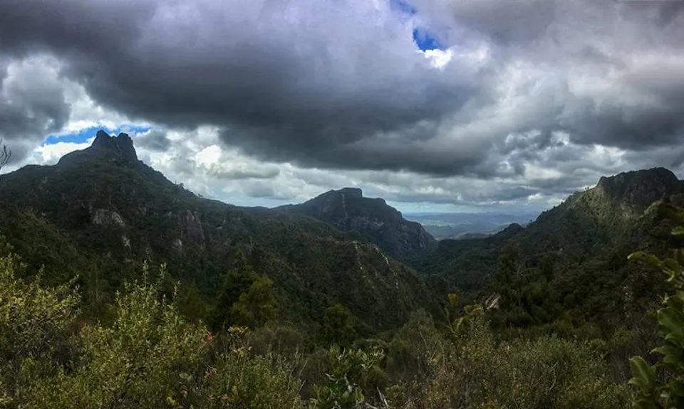 Pinnacles & Billy Goat, Waikato