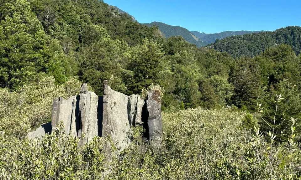 Johnson Creek Track, Tasman
