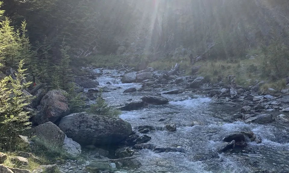 McIntosh - Judah Loop , Otago