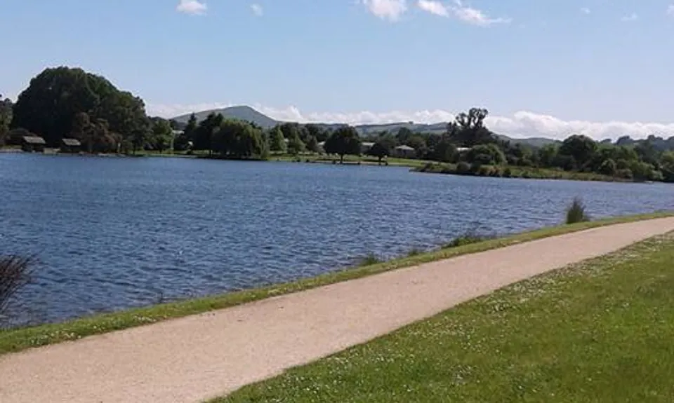 Waipoua River & Henley Lake Trail, Wellington