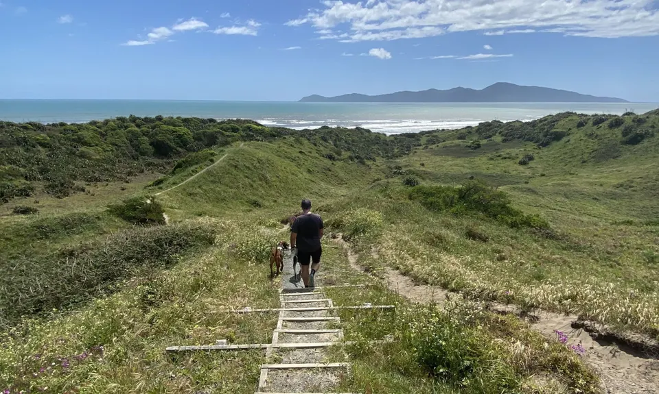 Lizzie's Loop, Wellington