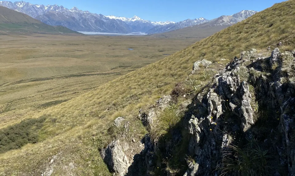 Mt Guy, Canterbury