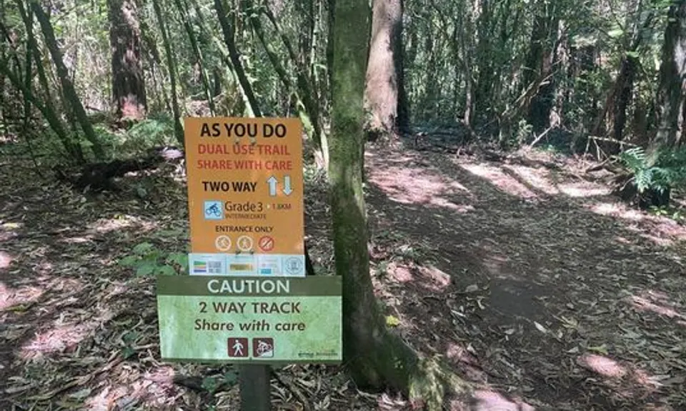 As You Do Loop, Bay of Plenty