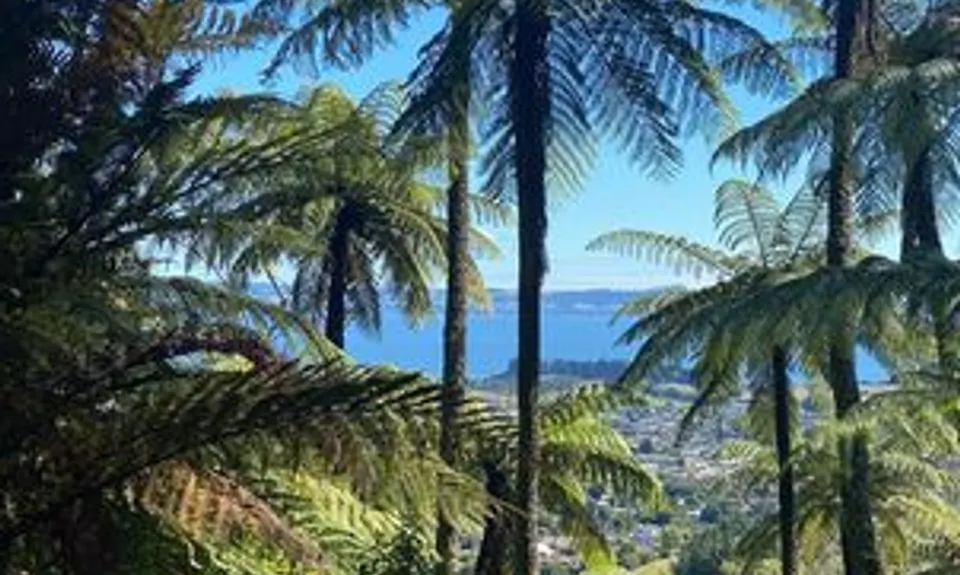 As You Do Loop, Bay of Plenty