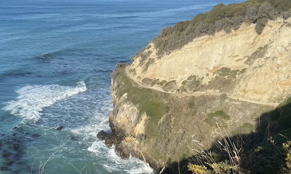 Caped Crusader, Otago