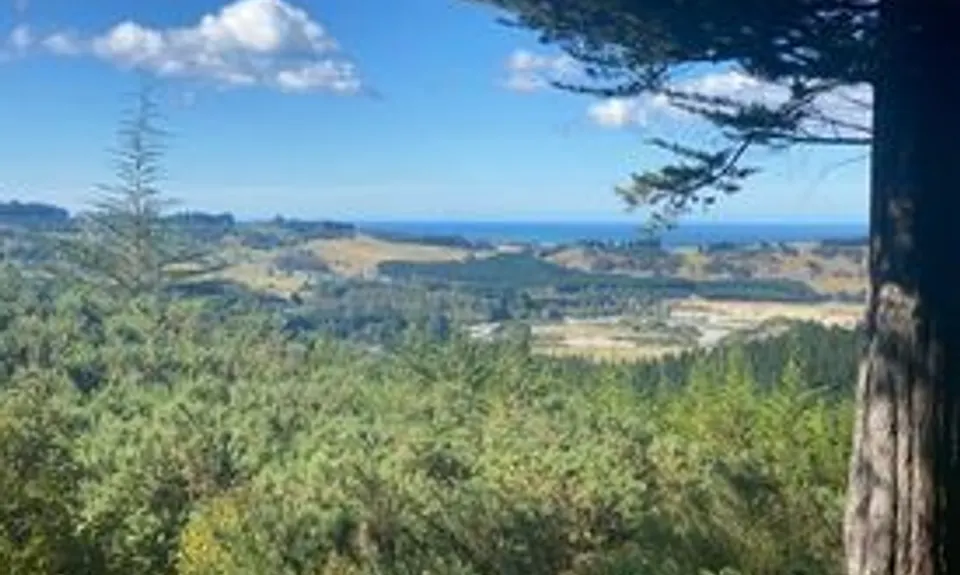 Call me Herbert, Otago