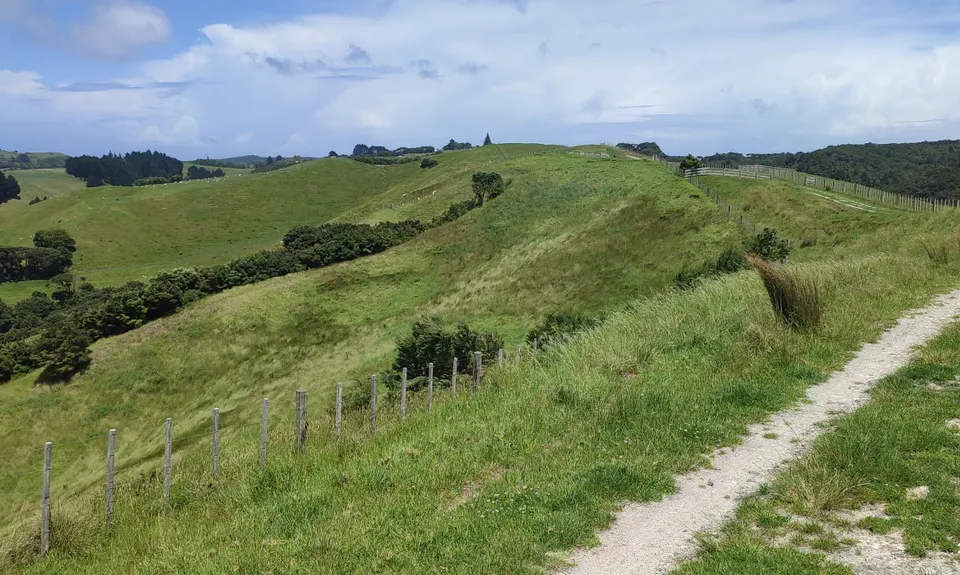 Te Rau Puriri Regional Park, Auckland