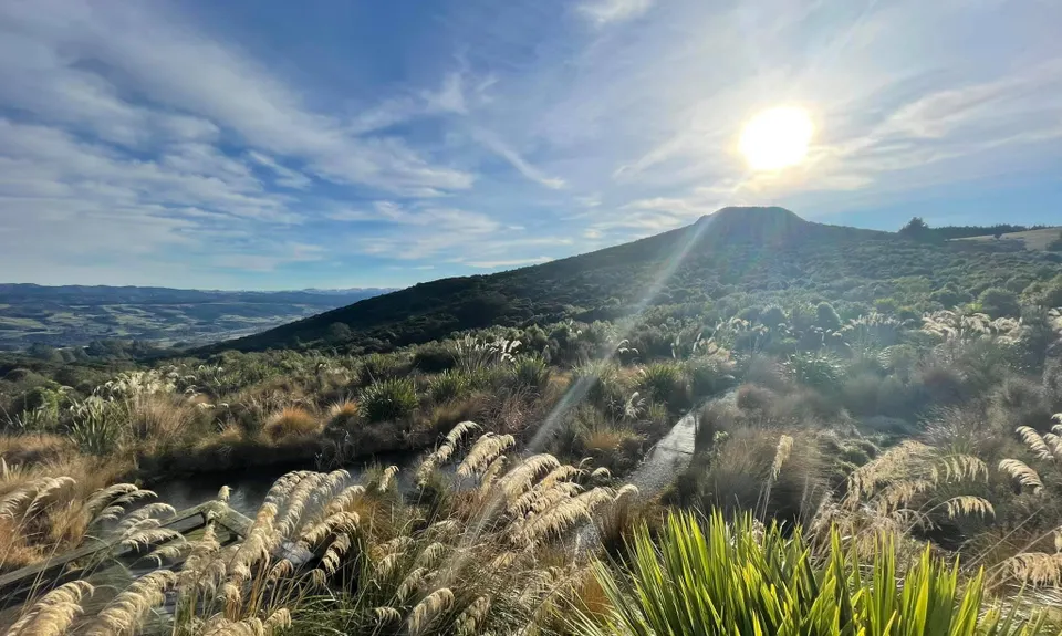 Orokonui Heaven, Otago