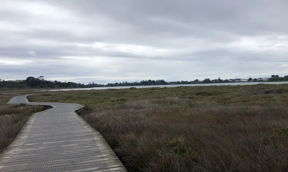 Daisy Hardwick Loop, Bay of Plenty