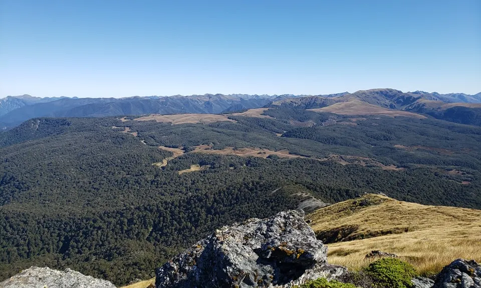 Arthur & Gordons, Tasman