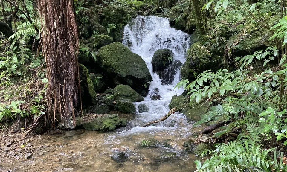 Karapoti Challenge, Wellington