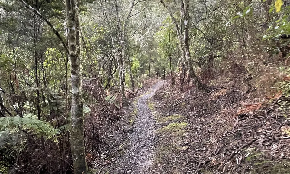 Hunua Hustle, Auckland