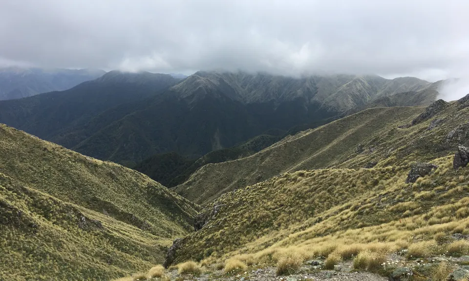 Jumbo - Holdsworth Circuit, Wellington