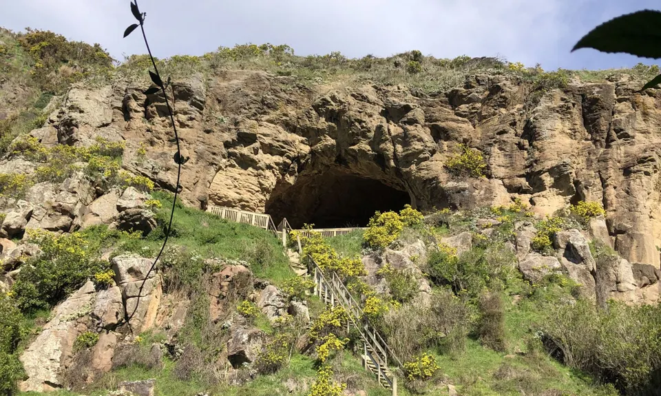 Clan of the Cave Runner, Canterbury