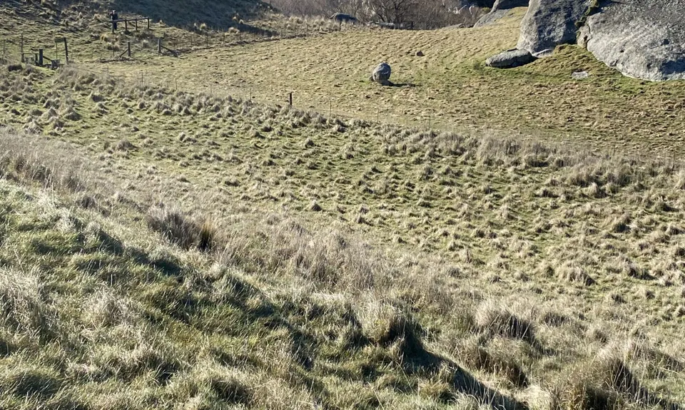 Maori Rock Art Jaunt, Canterbury