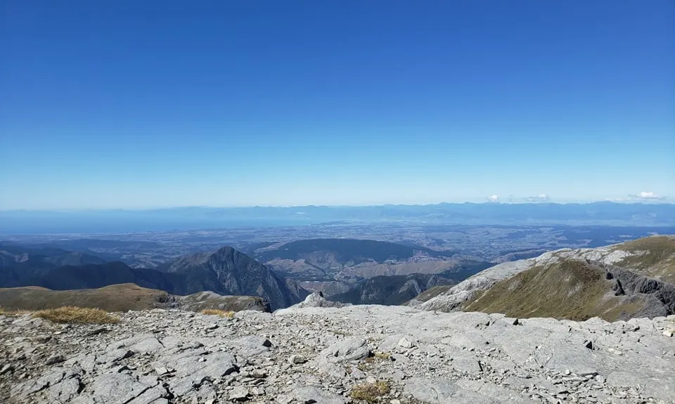 Arthur & Gordons, Tasman