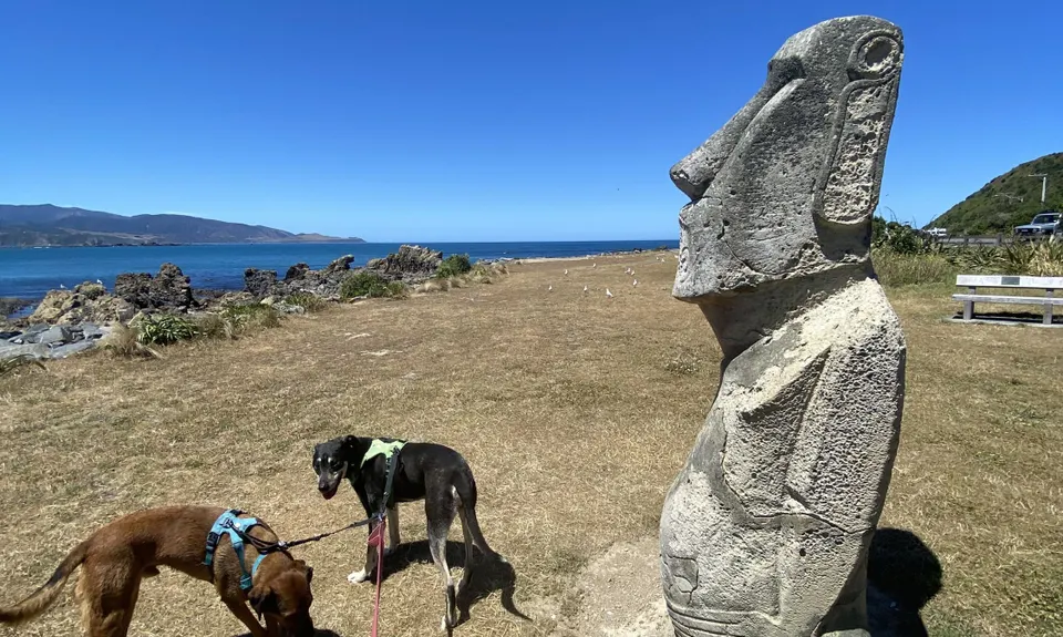 Te Raekaihau Point, Wellington