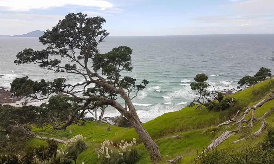 Mangawhai Heads , Northland