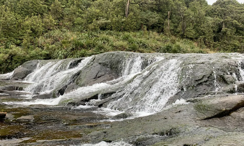 Wairere Falls, Waikato