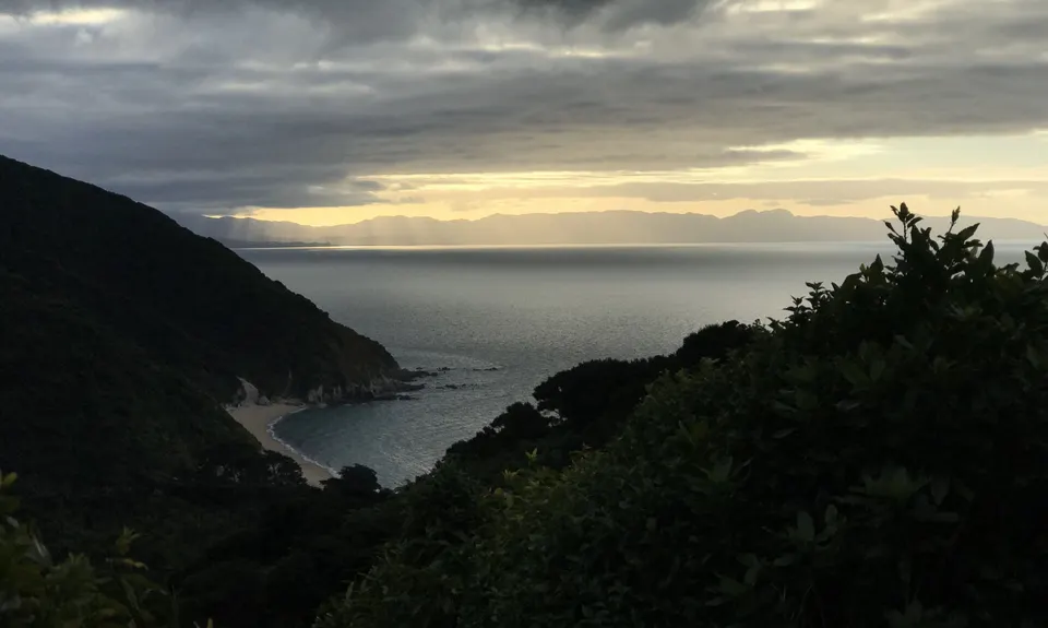 Gibbs Hill Loop, Tasman