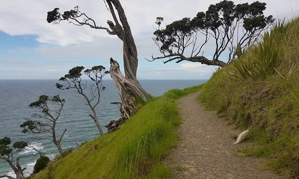 Mangawhai Heads , Northland