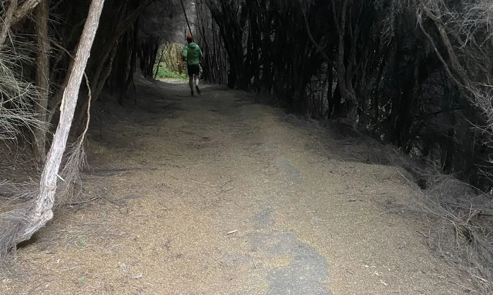 Purple Peak Pilgrimage, Canterbury