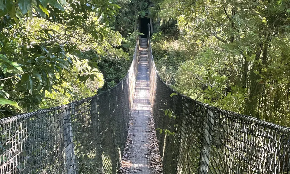 Waiorongomai Valley Adventures, Waikato