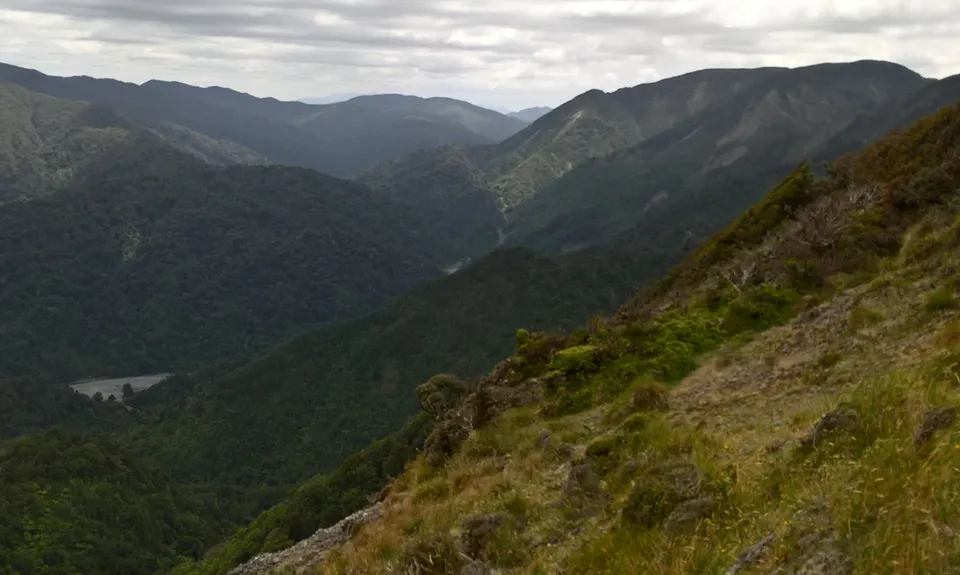 Mt Matthews, Wellington