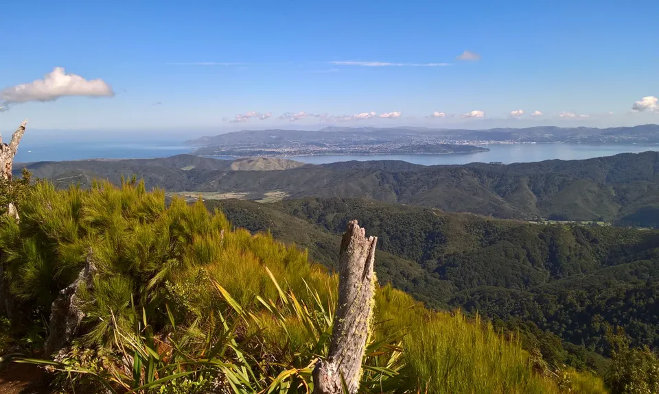Where in the Whakanui?, Wellington
