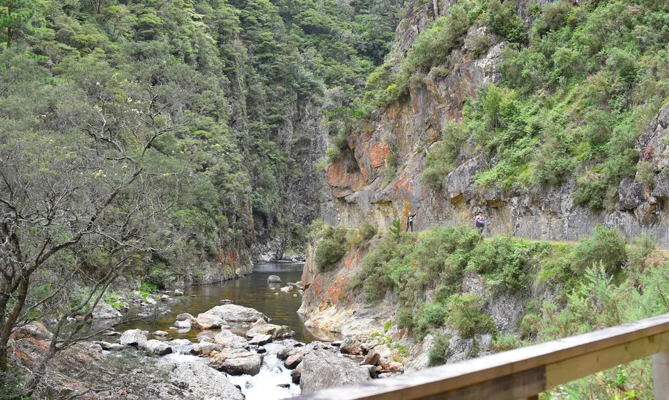 Trail Challenge Waihi official marathon, Waikato