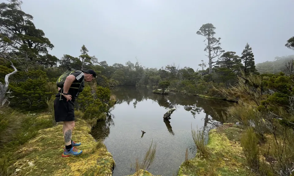 Pelorus Loop Track , Marlborough