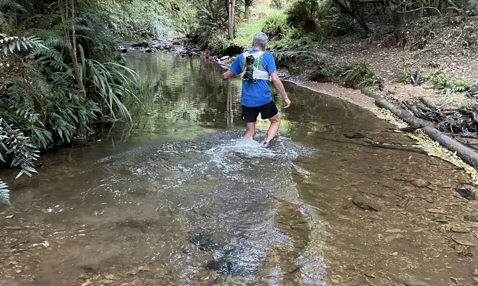 Evansdale Glen loop, Otago