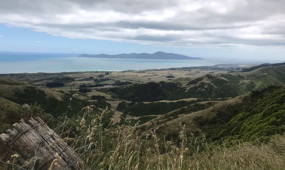 Whararoa Farm Steps, Wellington