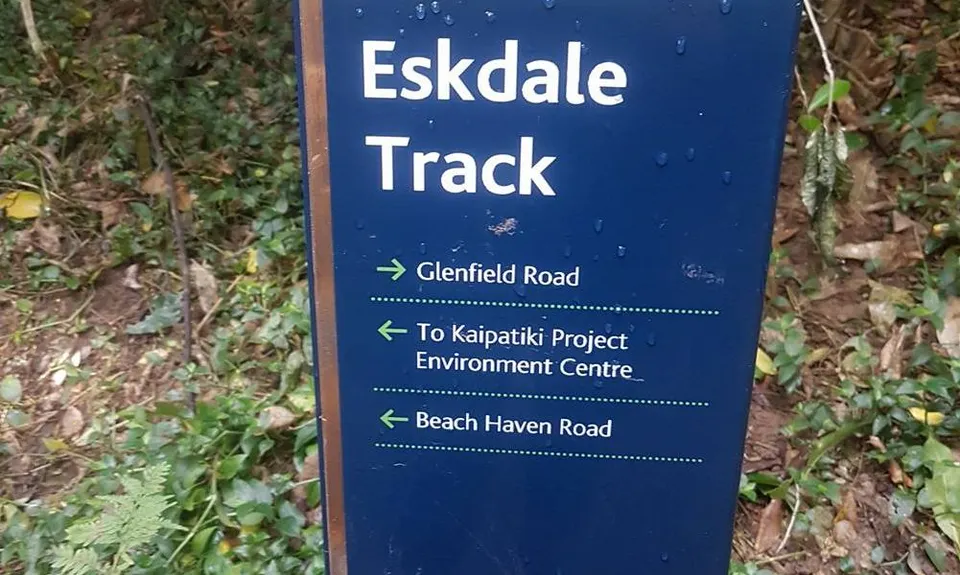 Station to Station,  North Shore Urban Trails, Auckland