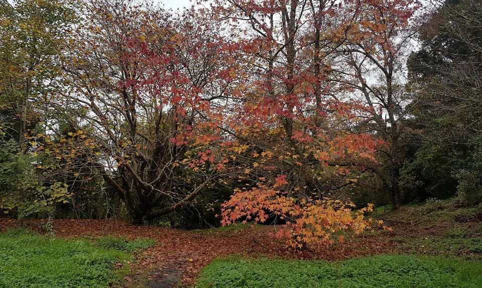Station to Station,  North Shore Urban Trails, Auckland
