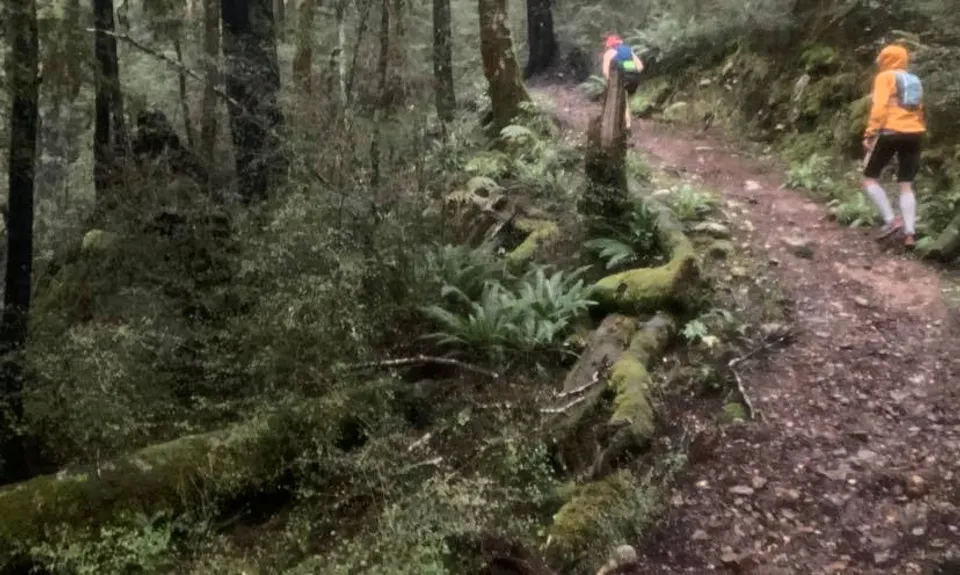 Painkiller Devil's Tail loop, West Coast