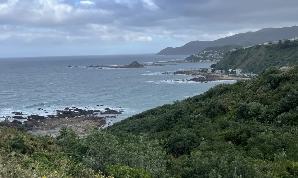 Te Raekaihau Point, Wellington