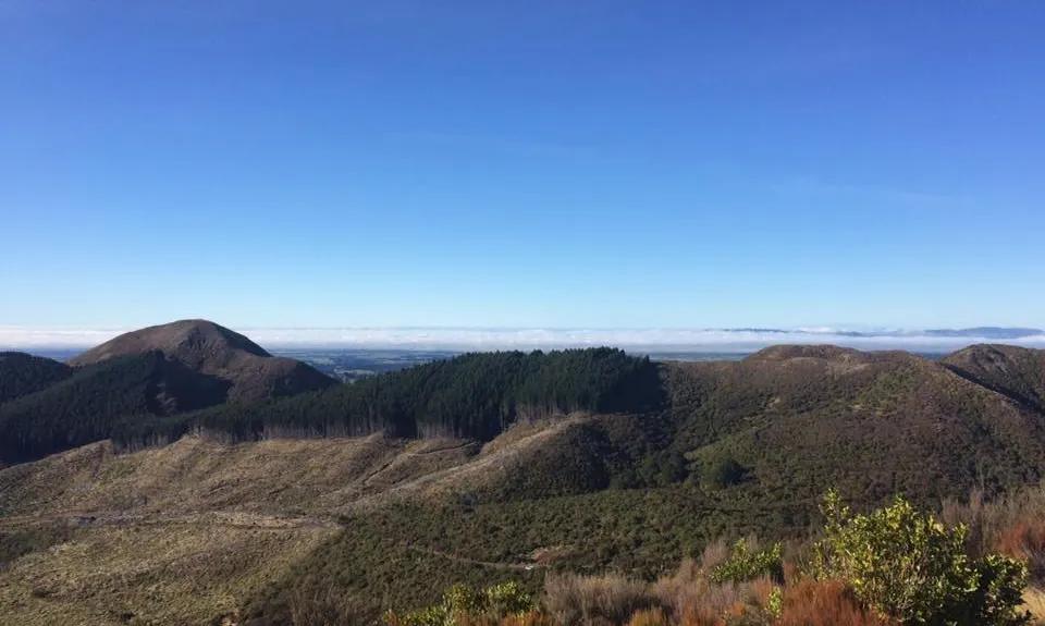 Longview Hut, Hawkes Bay