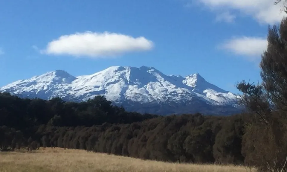 Horopito Schmito, Manawatu - Wanganui