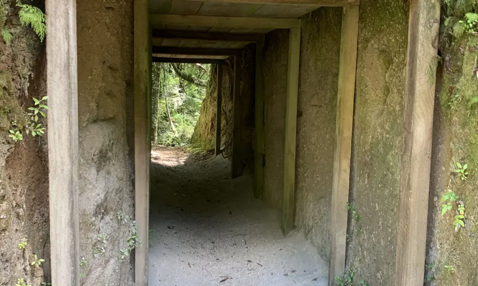 Mangamate Loop, Bay of Plenty