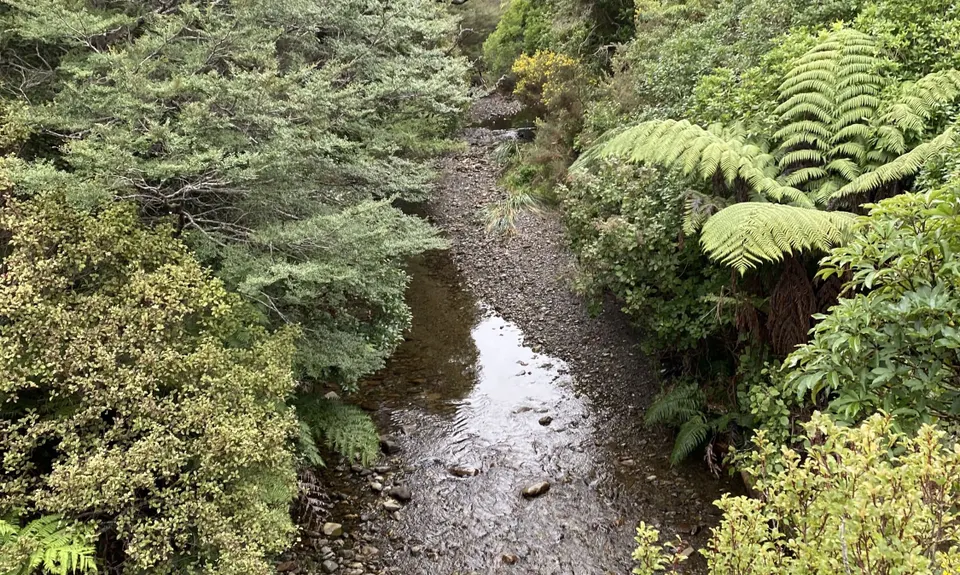 XTERRA Orongorongos Long Course, Wellington