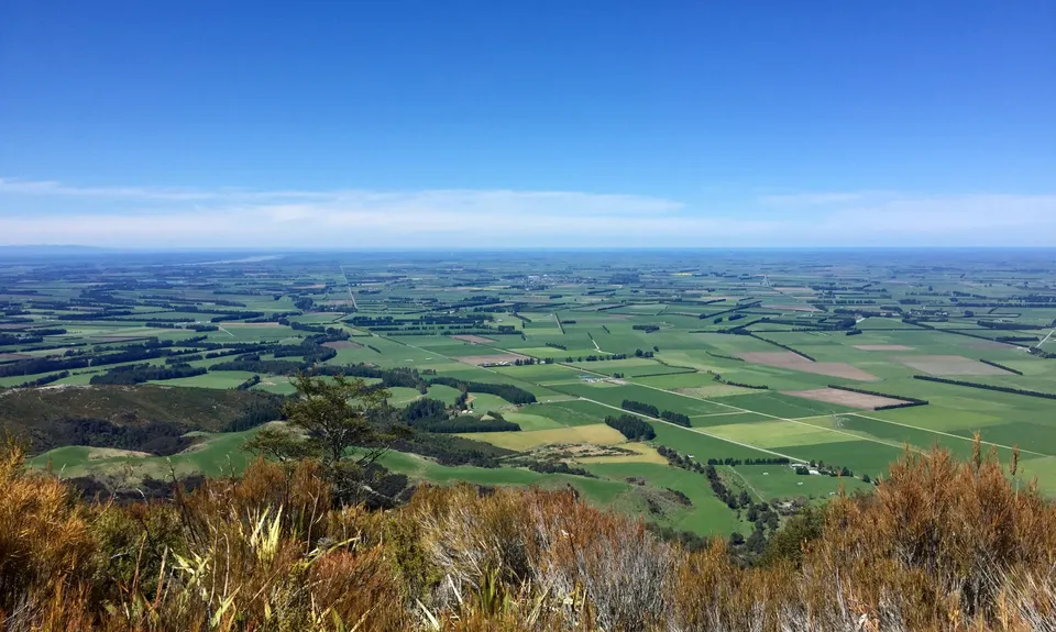 Aamped and Clomped, Canterbury