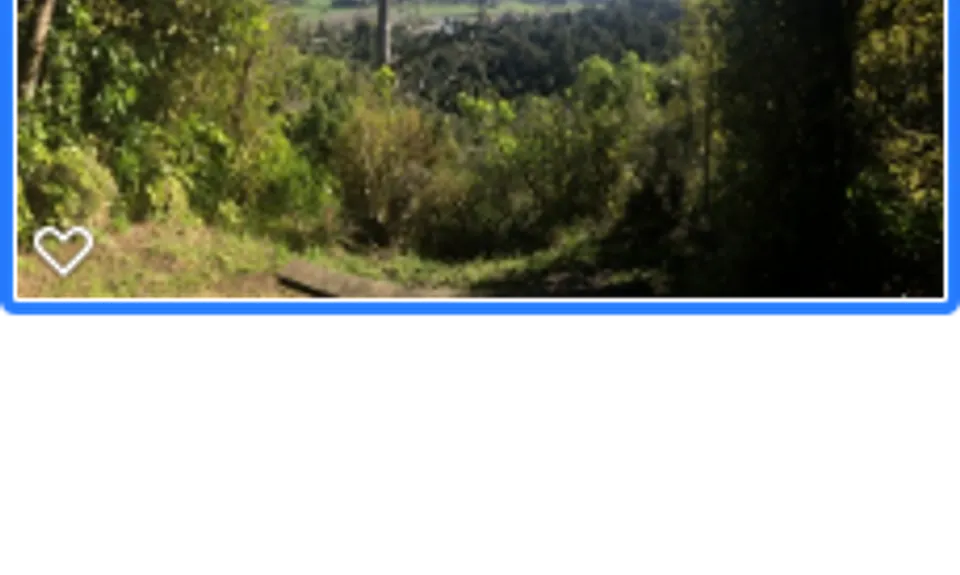 Fern Loop, Manawatu - Wanganui