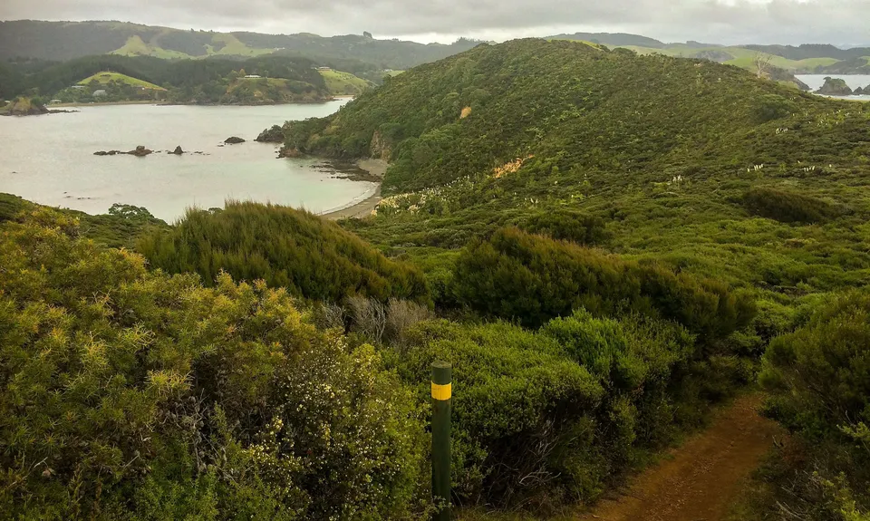 Mahinepua Peninsula Track, Northland