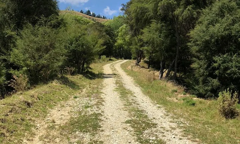 Te Kuri Farm walkway, Gisborne
