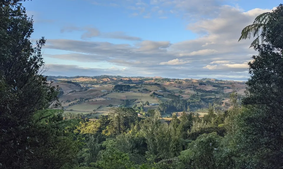 Wairoa Suspension Loop, Auckland