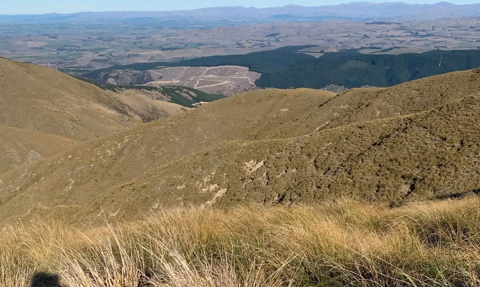 Mount Studholme, Canterbury