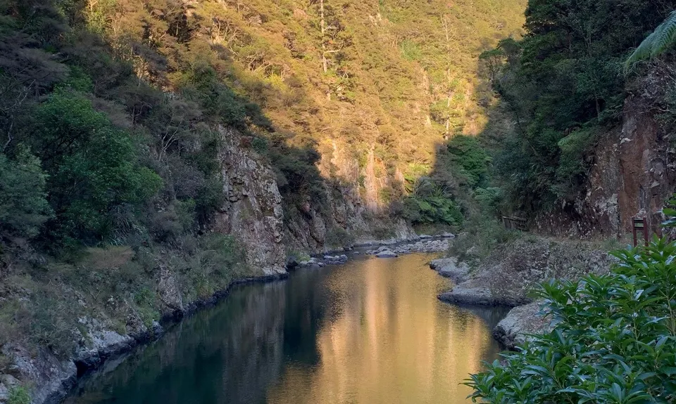 Swingbridges & Tunnels, Waikato